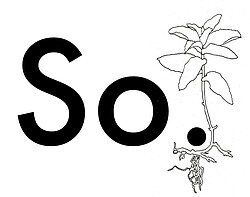 So. logo