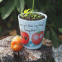 Tomato Plant Pot Anniversary Or Valentine Gift, thumbnail 2 of 6