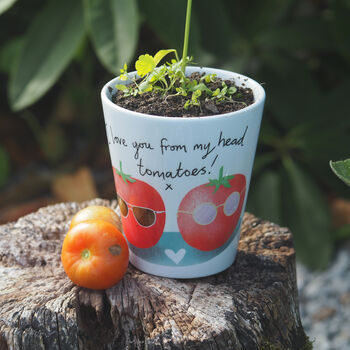 Tomato Plant Pot Anniversary Or Valentine Gift, 2 of 6