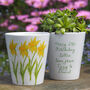 Personalised Painterly Birth Flower Pot, thumbnail 4 of 8