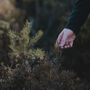 Winter Foraging Workshop For One In The South Downs, thumbnail 2 of 7