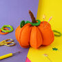 'Cute Pumpkin' Pin Cushion Craft Kit, thumbnail 1 of 3