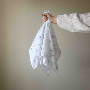 Organic Cotton Handkerchiefs, Family Pack Of Nine, 8 of 12