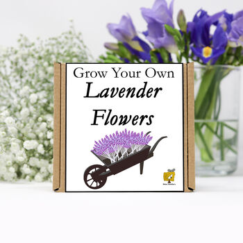 Gardening Gift For Her. Grow Your Own Lavender Plant, 2 of 4