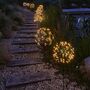 Dandelion Garden Solar Light In Green, thumbnail 1 of 4
