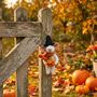 Handmade Felt Sabrina The Pumpkin Mouse Halloween Decoration, thumbnail 1 of 3