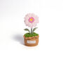 Large Plant Pot Collection, thumbnail 6 of 9