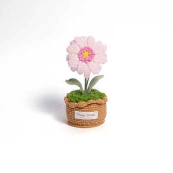 Large Plant Pot Collection, 6 of 9