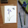 Bluebell And Bee Any Occasion Greetings Card, thumbnail 3 of 8