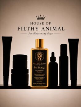 Prebiotic Dog Shampoo Hypoallergenic Odour Control, 4 of 5