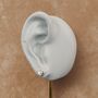Sterling Silver Love Bird Stud Earrings, thumbnail 3 of 6
