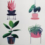 New Home House Plants Card, thumbnail 4 of 4
