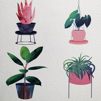 New Home House Plants Card, 4 of 4
