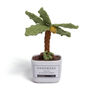 Tranquil Crochet Succulent Plants, thumbnail 3 of 12