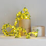Spring Bud Fairy Lights, thumbnail 8 of 9