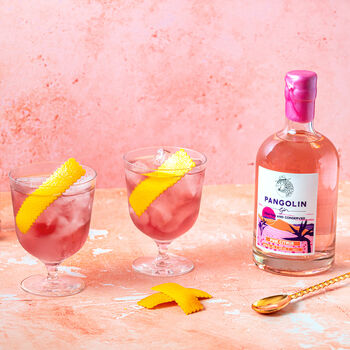 Pangolin Gin, Pink Citrus Hand Crafted Gin, 5 of 7