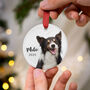 Custom Pet Photo Ornament Name And Year 2025, thumbnail 7 of 8