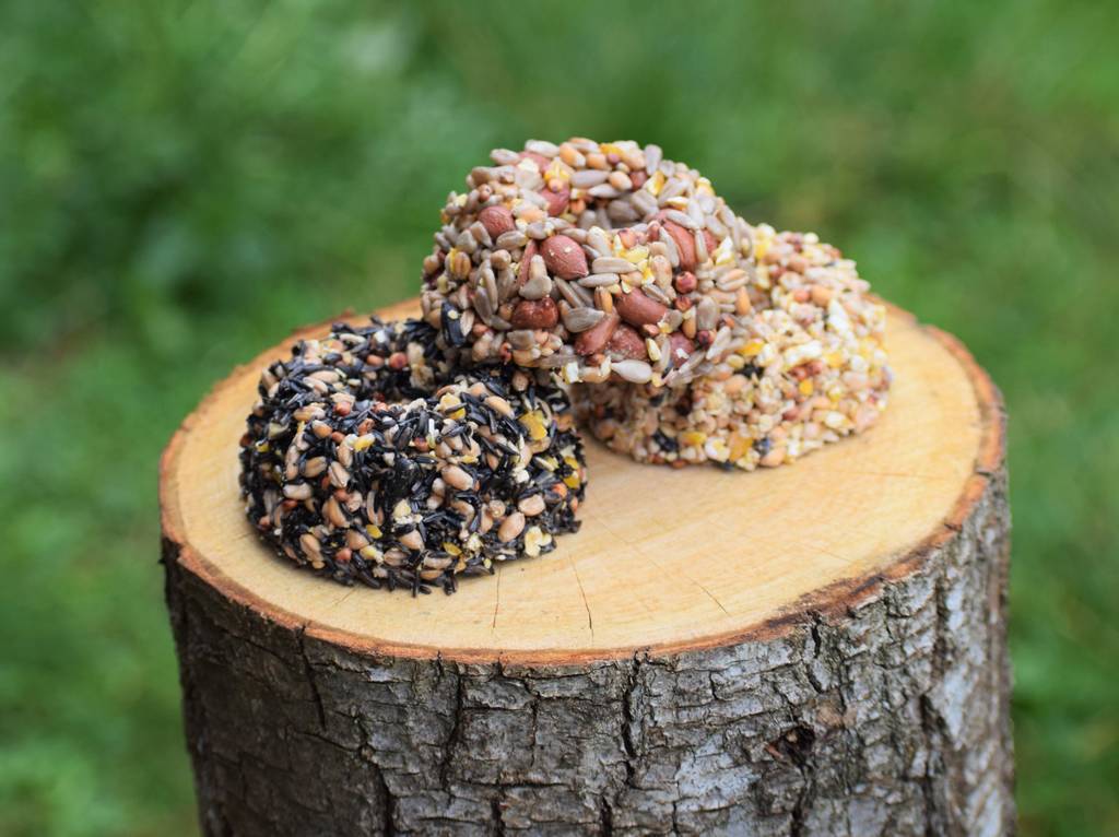 Christmas Hamper Bird Food Gift Set Selection By The Bird Bakery