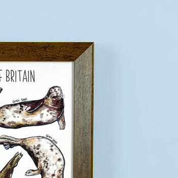 Seals Of Britain Wildlife Print, 9 of 10