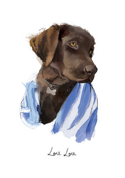Personalised Illustrated Pet Portrait, 12 of 12