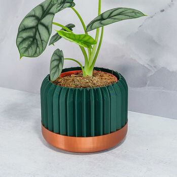 Forest Trilinear Planter, 2 of 4