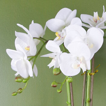 White Silver Artificial Orchid Large 52cm Real Touch, 2 of 3