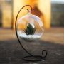 Hanging Glass Bauble Terrarium With Metal Holder, thumbnail 2 of 5