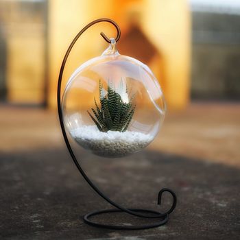 Hanging Glass Bauble Terrarium With Metal Holder, 2 of 5