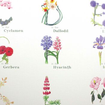 Flower Alphabet Botanical Print, 7 of 9