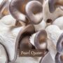 Organic Michelin Quality Gourmet Mushroom Giftcard, thumbnail 5 of 10
