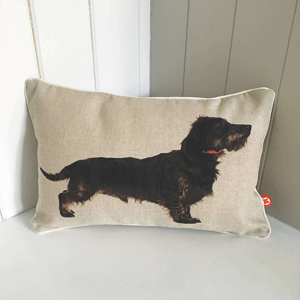 dachshund cushion