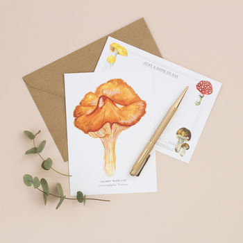 Mushrooms And Toadstools Illustrated Notelet Set, 4 of 7