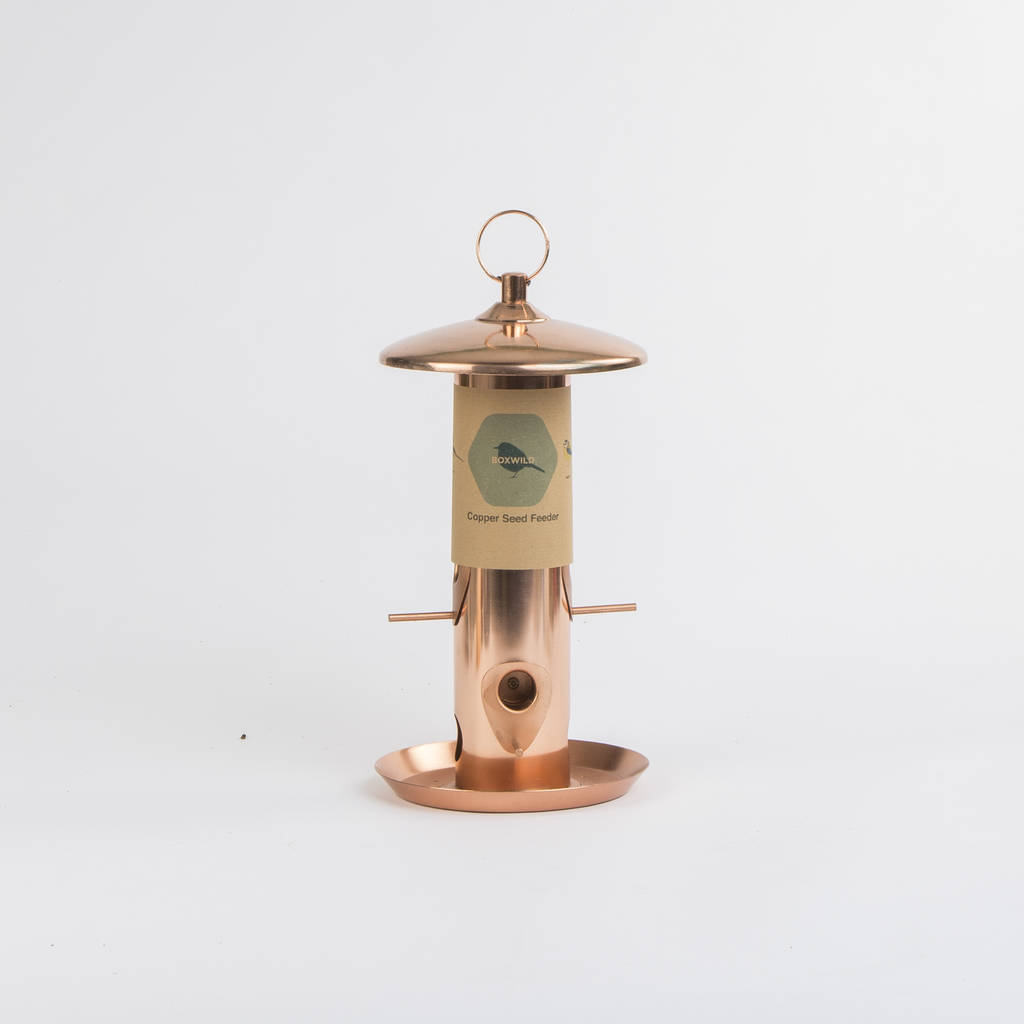 Copper Bird Seed Feeder Gift Box By Boxwild