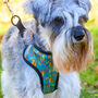 Squirrel Suprise Adjustable Dog Harness, thumbnail 2 of 12
