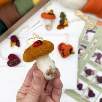 Needle Felting Kit Autumn, 7 of 11