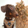 Woodland Badger Dog Harness, thumbnail 11 of 12