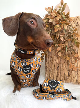Woodland Badger Dog Harness, 11 of 12