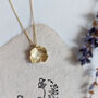 Small Daisy Pressed Flower Necklace Gold Plated, thumbnail 1 of 9