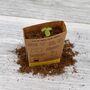 Mini Monster Venus Fly Trap Grow Pot Kit, thumbnail 7 of 9