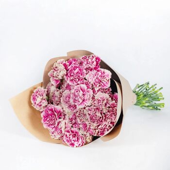 Pink Carnations Fresh Flower Bouquet, 3 of 3