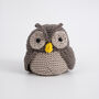 Minerva Owl Easy Knitting Kit, thumbnail 6 of 10