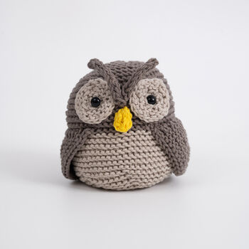 Minerva Owl Easy Knitting Kit, 6 of 10