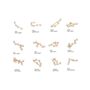 Star Sign Constellation Earrings Studs, thumbnail 2 of 9