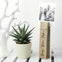 Personalised Wooden Peg Photo Holder, thumbnail 7 of 9