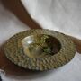 Hic Ceramics Wave Spaghetti Plate Recif, thumbnail 1 of 7