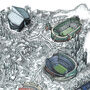 Gridiron! American Football Stadiums Of The USA, thumbnail 8 of 12