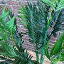 Artificial Topiary Palm Tree, thumbnail 3 of 8