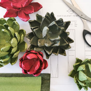 Paper Craft Kit: Succulents, 2 of 8