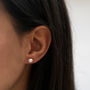 Pearl And Silver Stud Earrings, thumbnail 5 of 6
