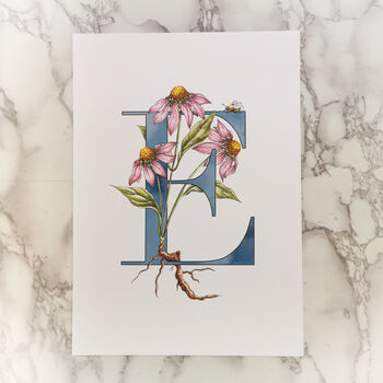 E Is For Echinacea Coloured Initial Print, 5 of 10